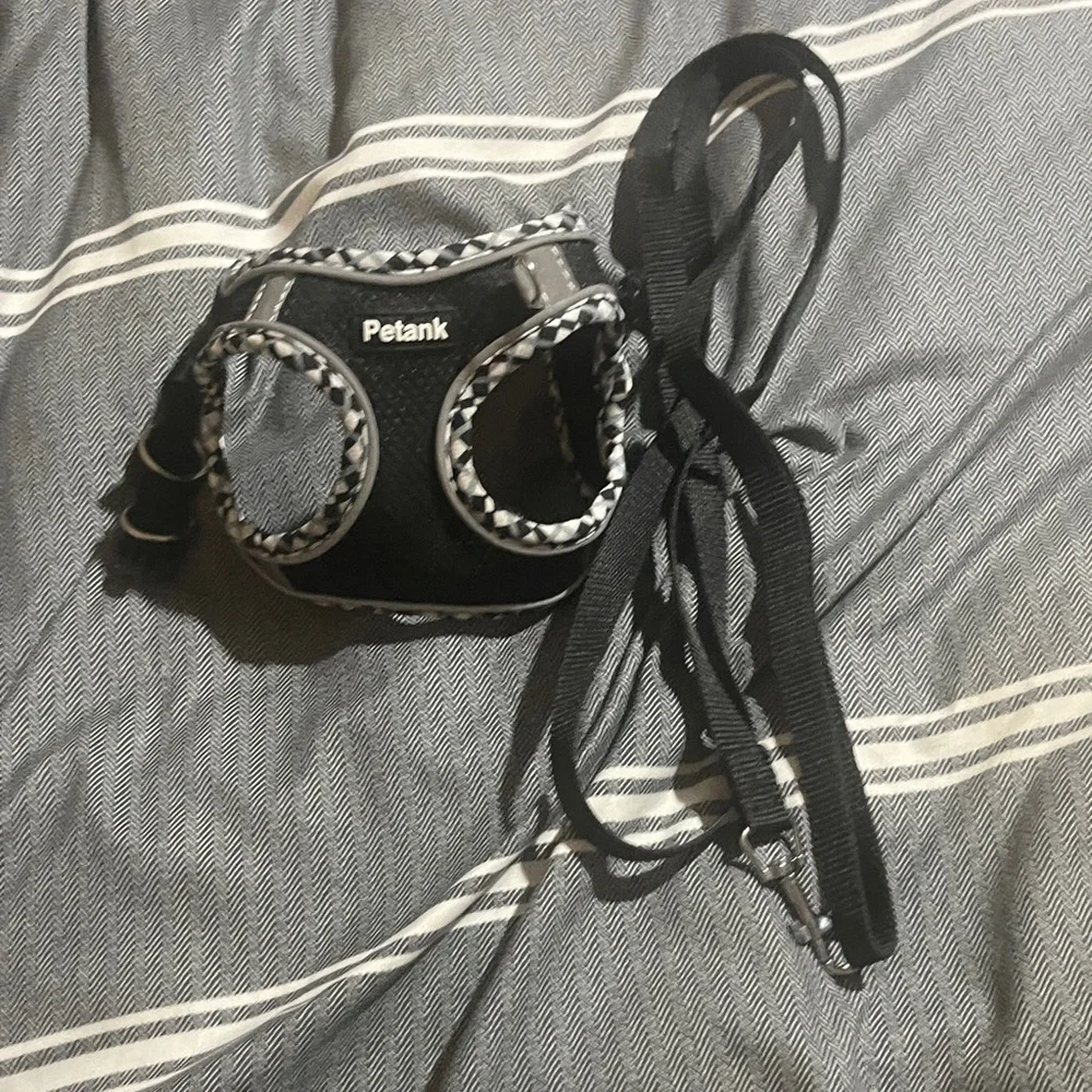 Chic Black and White Cat Harness and Leash Set